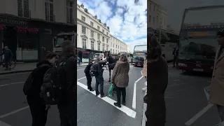 Commuters try and calm down the distressed horse that has been rampaging through Central London