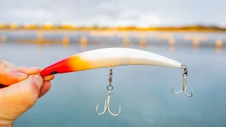 BIG TOPWATER FLATHEAD