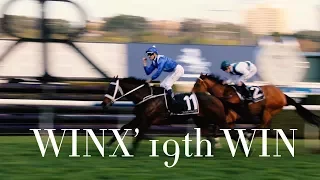 ATC TV: Winx Wins 19 In a Row!