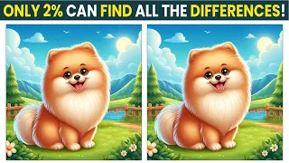 Spot the Difference: Brain Teaser! Test Your Mind!