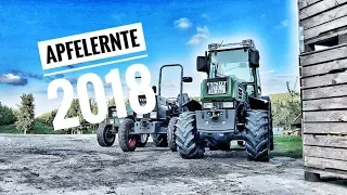 Obsthof Raddatz - Ein kleiner Einblick von unserer Ernte 2018!