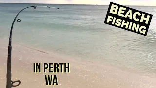 Beach Fishing In Perth Western Australia | Best Cut Bait!!