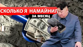 Майнинг за один месяц | Сколько я заработал за первый месяц майнинга