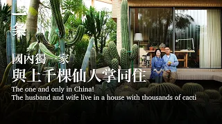 [EngSub]The unique one in China! The husband and wife live in a 300m² house with thousands of cacti