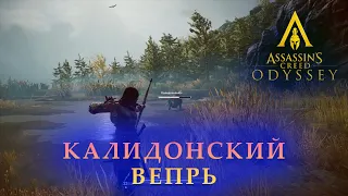 Как убить Калидонского вепря? | Assassin’s Creed Odyssey