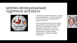 7 Функціональна основа інтелекту