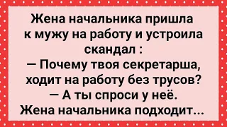 Секретарша Ходит на Работу Без Трусов! Сборник Свежих Анекдотов! Юмор!