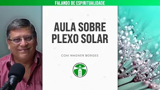WAGNER BORGES: AULA SOBRE PLEXO SOLAR | Projeto Farol Ep.109