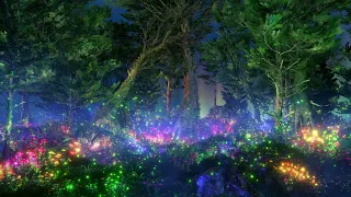 Forest Dream