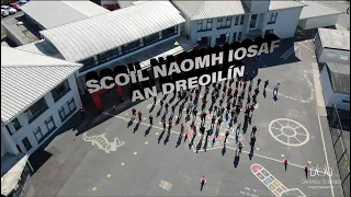 An Dreoilín - Seachtain na Gaeilge - Scol Naomh Iosaf Baile Roisín