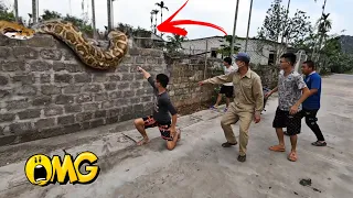 4 Best Videos Of Catch Giant Snakes Recorded By The Camera | Fishing TV