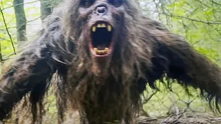 Bigfoot Photos That Proves He's Alive | Marathon