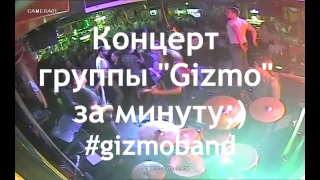 Концерт Gizmo за 1 минуту #gizmoband