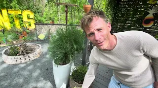 First Day Of Spring! Garden Tour Vlog