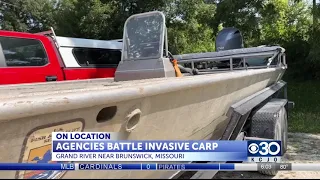 Missouri Department of Conservation looking to yield the Asian Carp invasive species