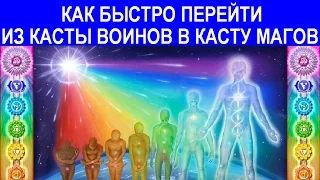 4 Касты  Как быстро перейти из касты Воинов в касту Магов [Вебинар] Евгений Джим - Чакры ТВ