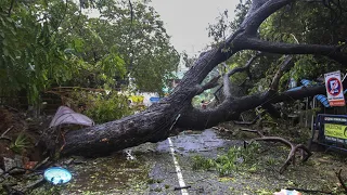 Cyclone Mandous: 4 dead, thousands impacted in Chennai; Tamil Nadu CM visits worst affected areas