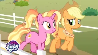 Songs | The Magic of Friendship Grows' Sing-Along  | MLP Songs #MusicMonday