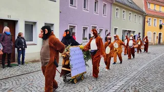 Fastnachtsumzug Bad Schandau 2024  (4k)