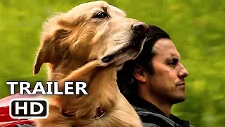 THE ART OF RACING IN THE RAIN Official Trailer (2019) Amanda Seyfried, Movie HD