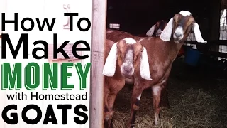 How to Make Money Raising Goats