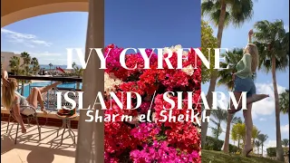 IVY CYRENE ISLAND 2024 IVY CYRENE SHARM Sharm el Sheikh Питание, пляж,бассейны,территория.