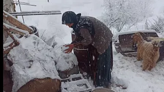 A snowy day in the village_nomadic lifestyle in Iran(2023)