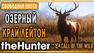 theHunter Call of the Wild #5 🐰 - Озерный Край Лейтон (часть 4) - Свободная Охота