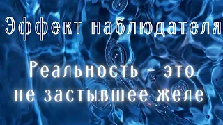 Физика бытия. Эффект наблюдателя. Кроличья нора