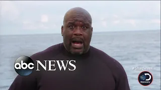 Shaquille O'Neal goes diving with sharks