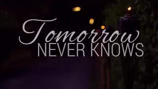 Tomorrow Never Knows -   Daniela Andrade ( lyrics)