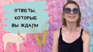 Ответы, которые вы ждали