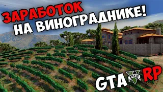 Сколько можно ЗАРАБОТАТЬ ЗА ЧАС на Винограднике в GTA 5 RP VMP