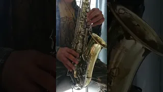 Yamaha yas 23 alto saxophone