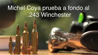 ¡¡¡El .243 Winchester a fondo!!!