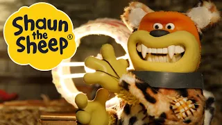 Cheetah Cheater | Shaun the Sheep | S2 Full Episodes