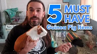 5 MUST HAVE Guinea Pig Items