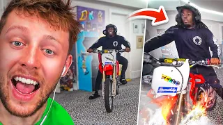 FUNNIEST MOMENTS EVER LIVE STREAMED!