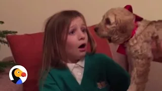 Little Girl Reacts to Puppy Surprise | The Dodo