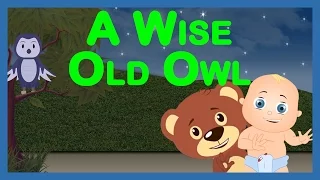 A Wise Old Owl || A Wise Old Owl Nursery Rhyme ||Nursery Rhymes for Kids