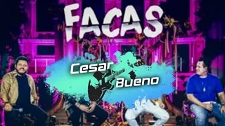 Facas ( Diego & Vitor Hugo_Part.Bruno e Marrone) cover César Bueno
