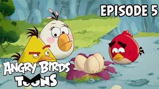 Angry Birds Toons | Egg Sounds - S1 Ep5