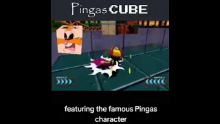 Pingas Cube II