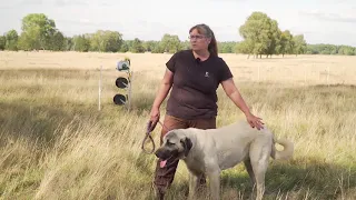 10. Herdenschutzhunde im Einsatz - Nicole Benning (Verein für arbeitende Herdenschutzhunde)