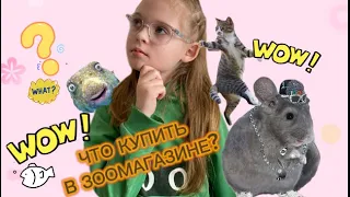 ЧТО КУПИТЬ В ЗООМАГАЗИНЕ ?