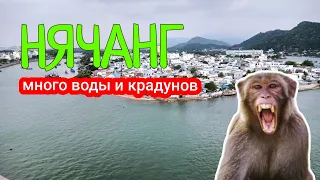 🇻🇳 Первые впечатления от Вьетнама | Едем из Гоа в Нячанг 2024