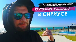 КРУТЕЙШАЯ площадка в Сириусе / Доходный апартамент