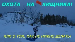 ЩУКА на ЖЕРЛИЦУ// ОХОТА на ХИЩНИКА//Или как пр*#*ать ЩУКУ!