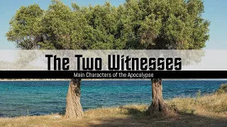 277. The Two Witnesses