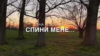 Ліна Костенко «Спини мене»